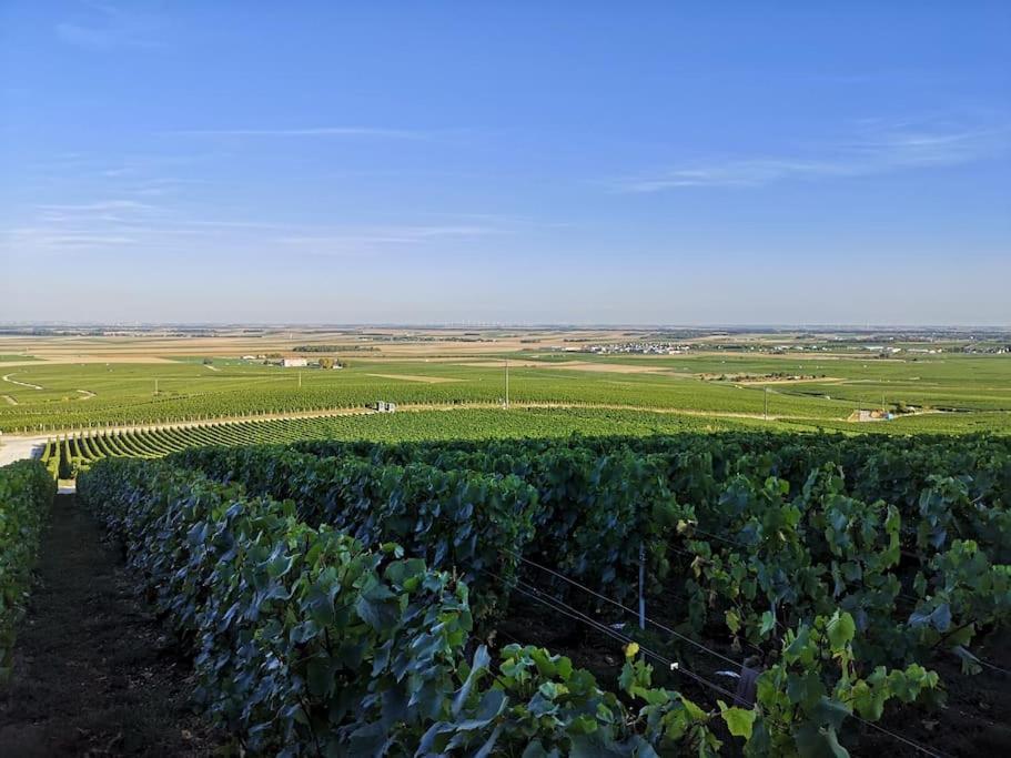 Gite "La Bulle De Lena" Avec Petit-Dejeuner Garage Et Parking Flavigny Kültér fotó